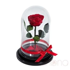 Long-Lasting Rose In A Flask (Pink)